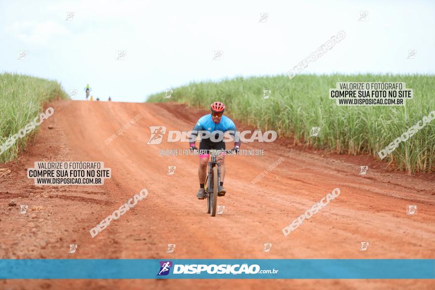 1ª EDIÇÃO DESAFIO ABELHA GRANDE - XCM