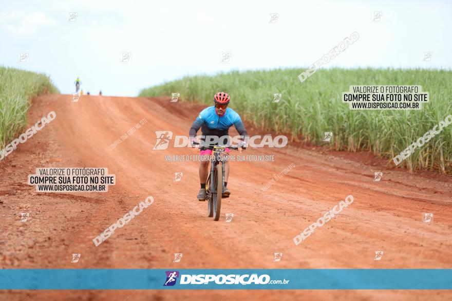 1ª EDIÇÃO DESAFIO ABELHA GRANDE - XCM