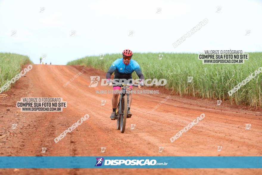 1ª EDIÇÃO DESAFIO ABELHA GRANDE - XCM