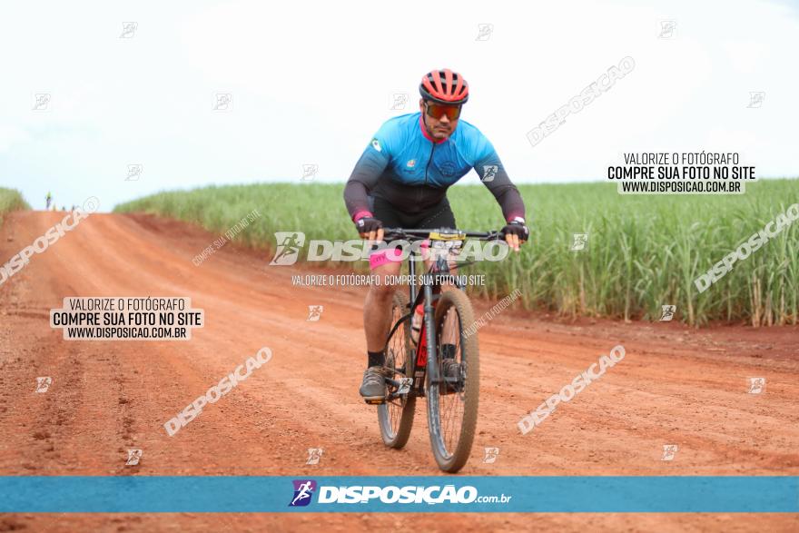 1ª EDIÇÃO DESAFIO ABELHA GRANDE - XCM