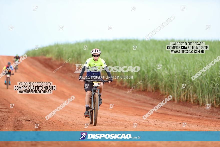 1ª EDIÇÃO DESAFIO ABELHA GRANDE - XCM