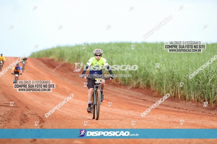 1ª EDIÇÃO DESAFIO ABELHA GRANDE - XCM