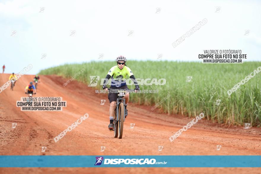 1ª EDIÇÃO DESAFIO ABELHA GRANDE - XCM