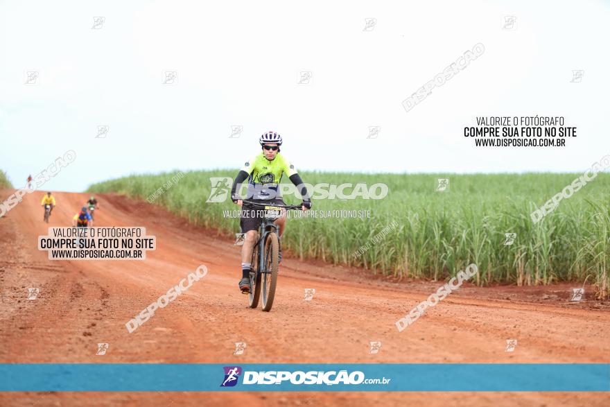 1ª EDIÇÃO DESAFIO ABELHA GRANDE - XCM