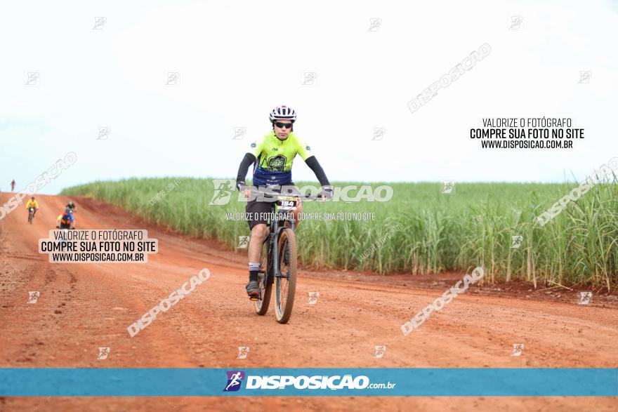 1ª EDIÇÃO DESAFIO ABELHA GRANDE - XCM