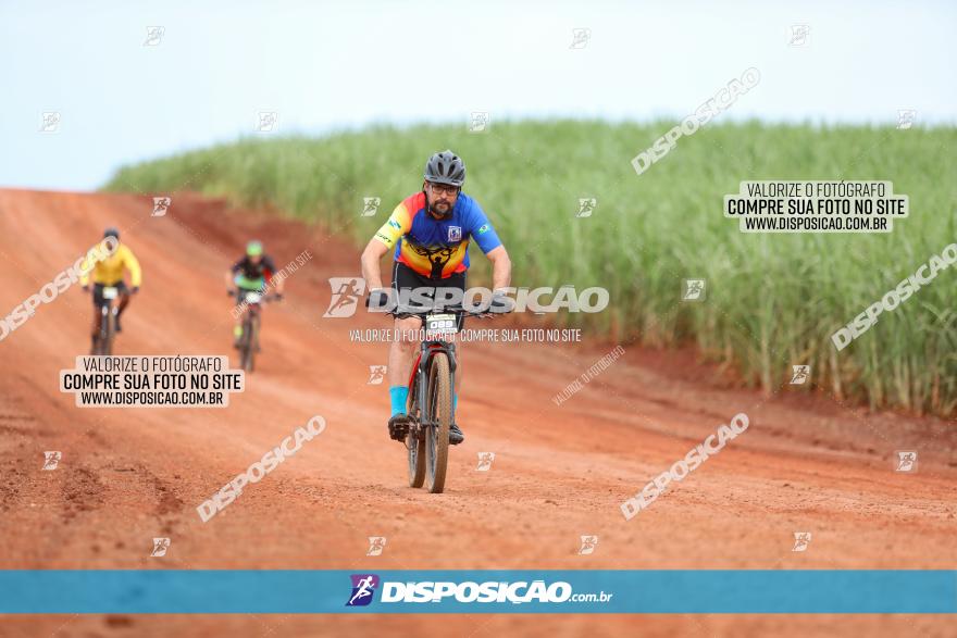 1ª EDIÇÃO DESAFIO ABELHA GRANDE - XCM