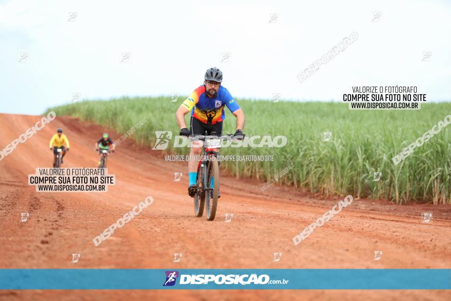 1ª EDIÇÃO DESAFIO ABELHA GRANDE - XCM