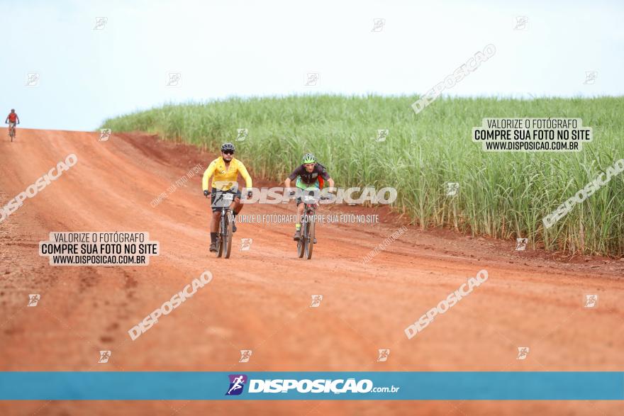 1ª EDIÇÃO DESAFIO ABELHA GRANDE - XCM