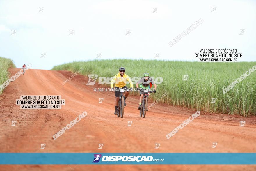 1ª EDIÇÃO DESAFIO ABELHA GRANDE - XCM