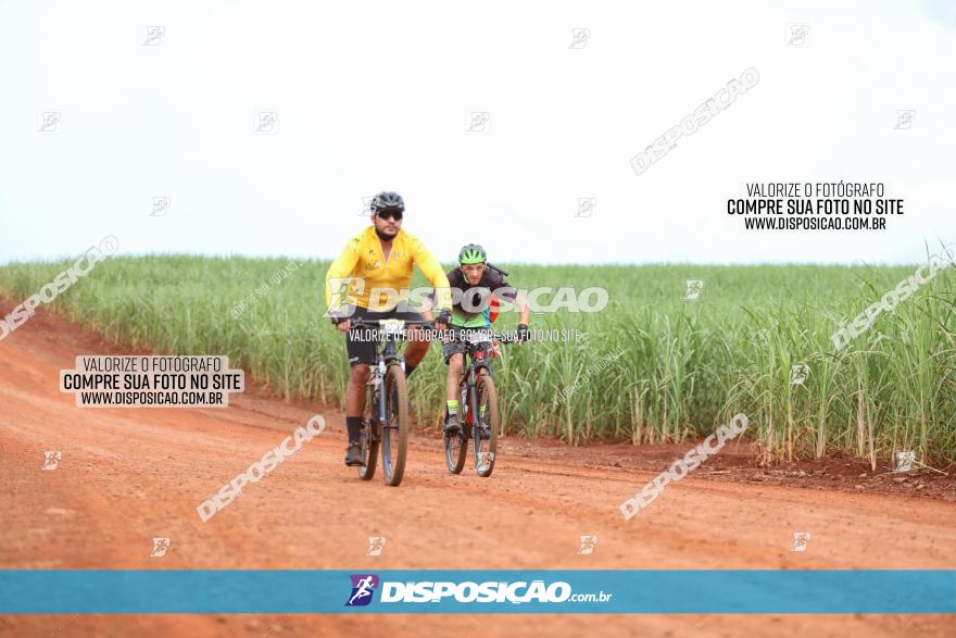 1ª EDIÇÃO DESAFIO ABELHA GRANDE - XCM