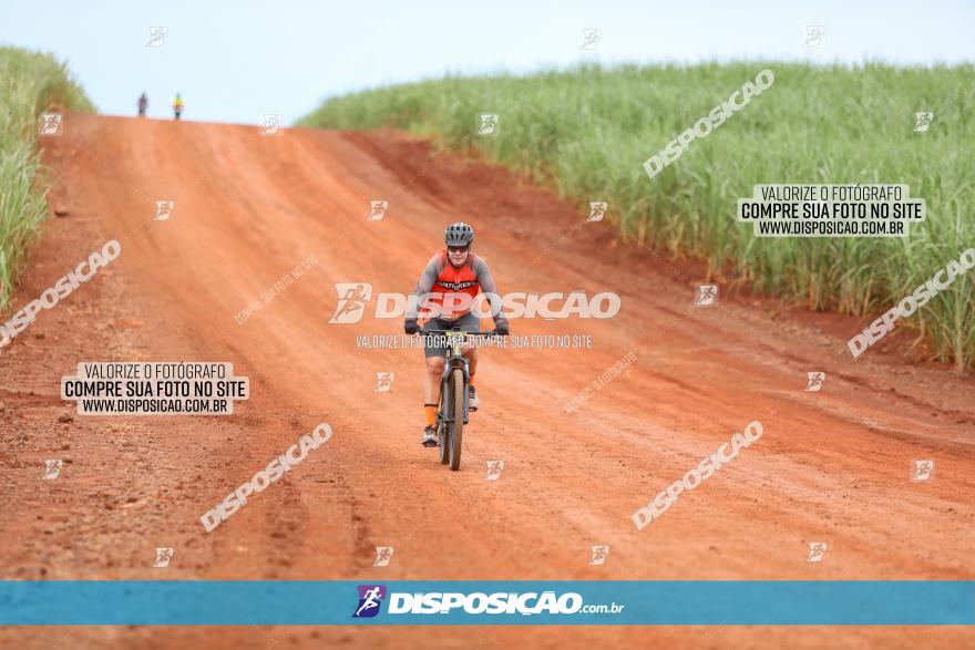 1ª EDIÇÃO DESAFIO ABELHA GRANDE - XCM