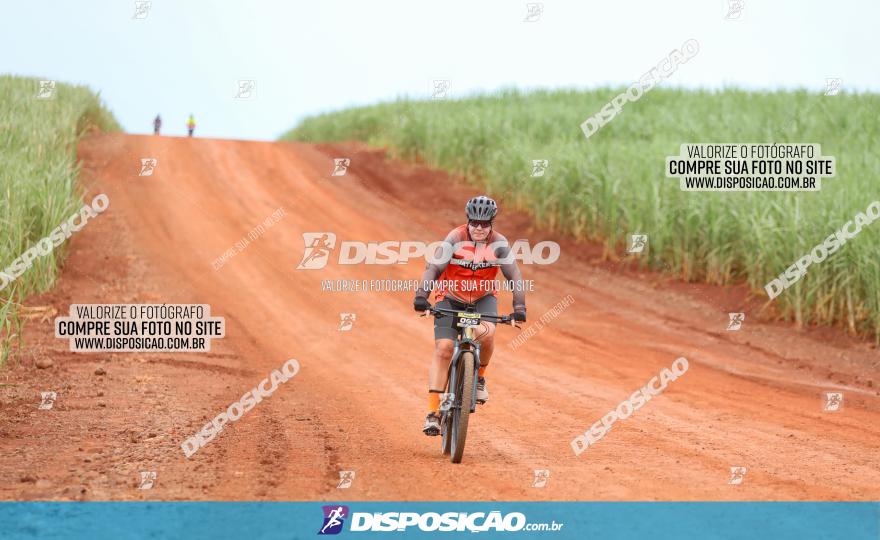 1ª EDIÇÃO DESAFIO ABELHA GRANDE - XCM