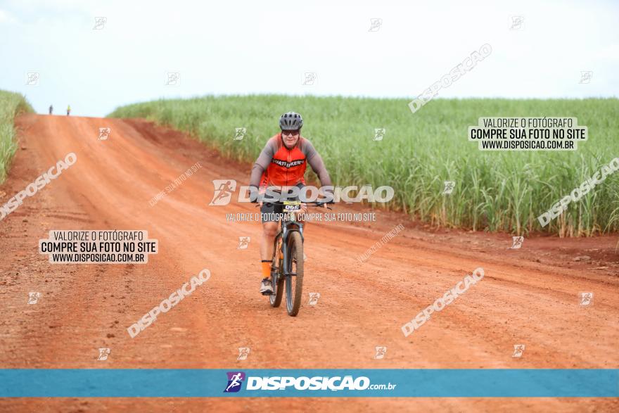 1ª EDIÇÃO DESAFIO ABELHA GRANDE - XCM