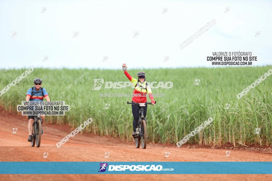 1ª EDIÇÃO DESAFIO ABELHA GRANDE - XCM