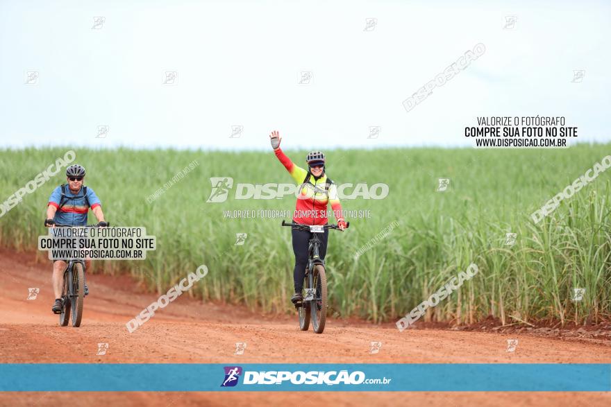 1ª EDIÇÃO DESAFIO ABELHA GRANDE - XCM