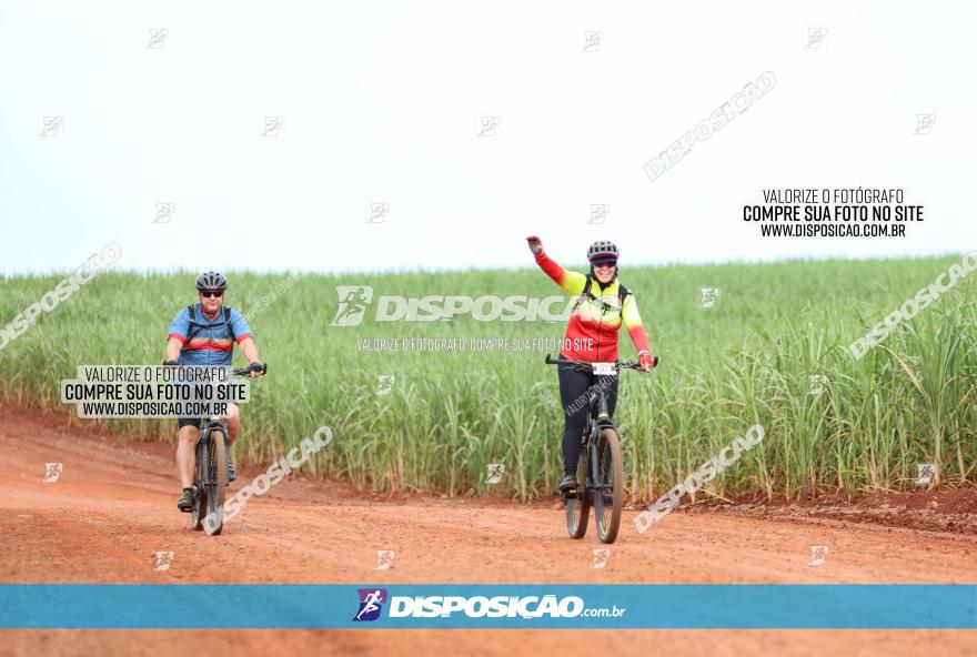 1ª EDIÇÃO DESAFIO ABELHA GRANDE - XCM