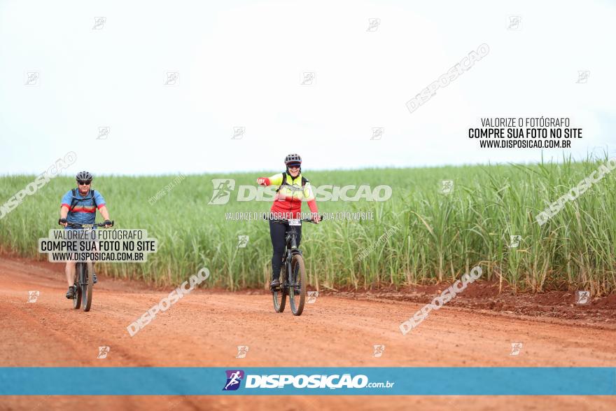 1ª EDIÇÃO DESAFIO ABELHA GRANDE - XCM