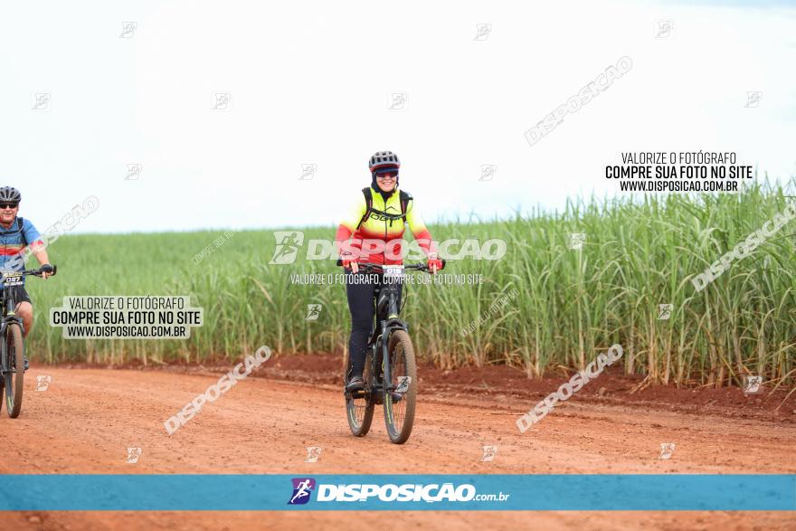 1ª EDIÇÃO DESAFIO ABELHA GRANDE - XCM