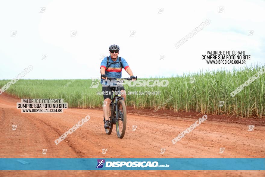 1ª EDIÇÃO DESAFIO ABELHA GRANDE - XCM