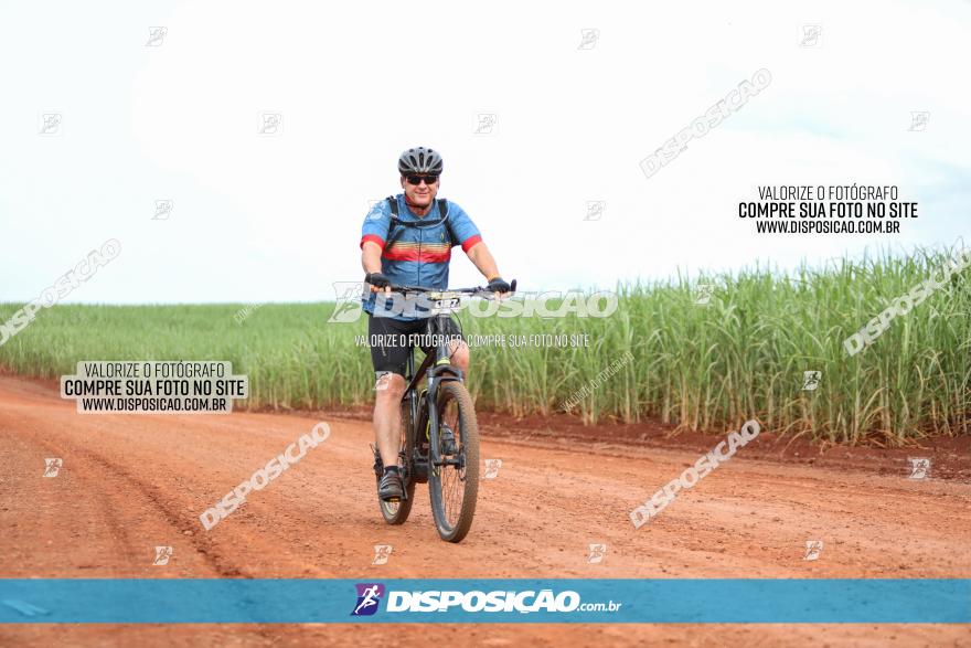 1ª EDIÇÃO DESAFIO ABELHA GRANDE - XCM