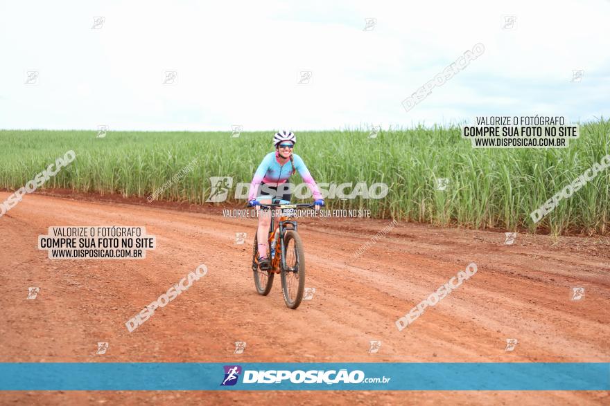 1ª EDIÇÃO DESAFIO ABELHA GRANDE - XCM