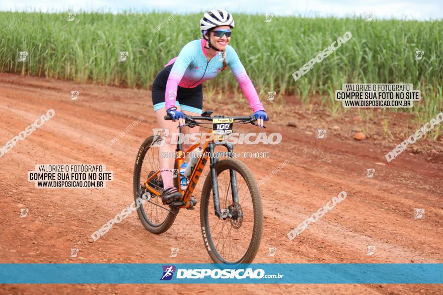 1ª EDIÇÃO DESAFIO ABELHA GRANDE - XCM