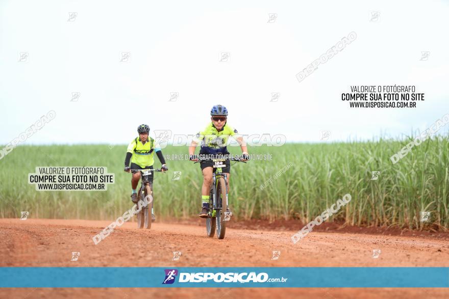 1ª EDIÇÃO DESAFIO ABELHA GRANDE - XCM