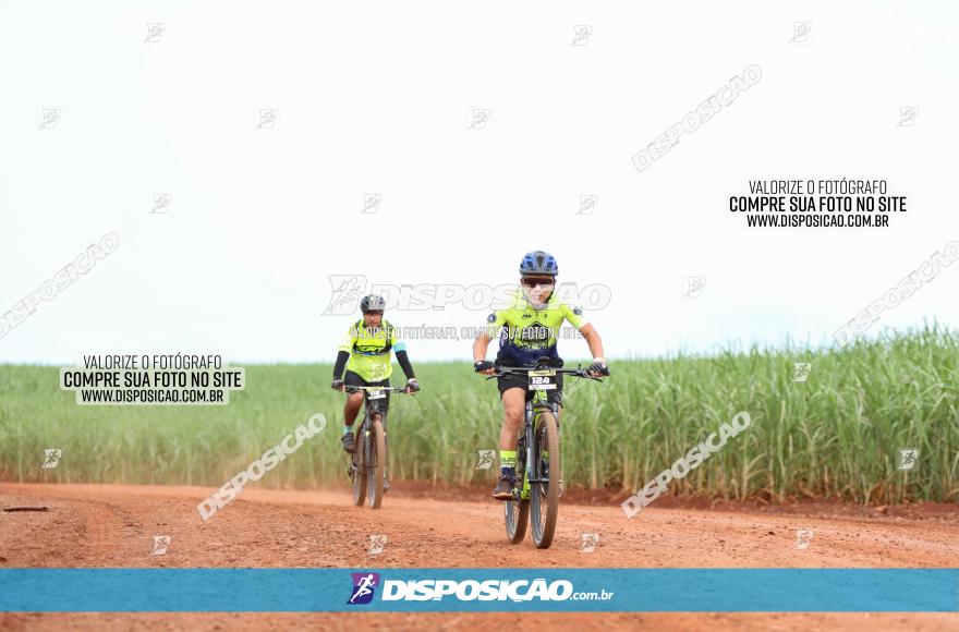 1ª EDIÇÃO DESAFIO ABELHA GRANDE - XCM