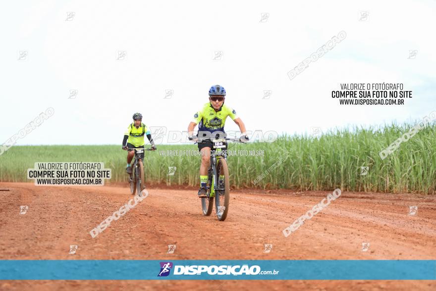 1ª EDIÇÃO DESAFIO ABELHA GRANDE - XCM