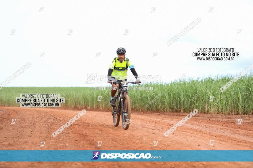 1ª EDIÇÃO DESAFIO ABELHA GRANDE - XCM