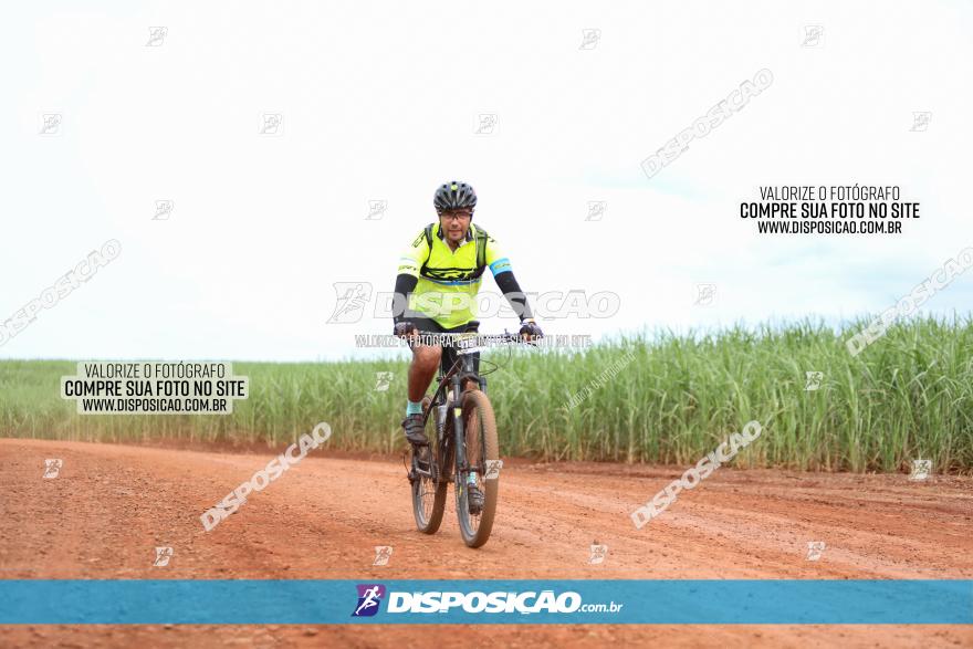 1ª EDIÇÃO DESAFIO ABELHA GRANDE - XCM