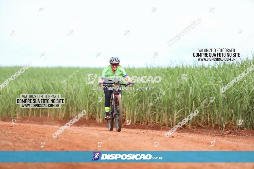 1ª EDIÇÃO DESAFIO ABELHA GRANDE - XCM