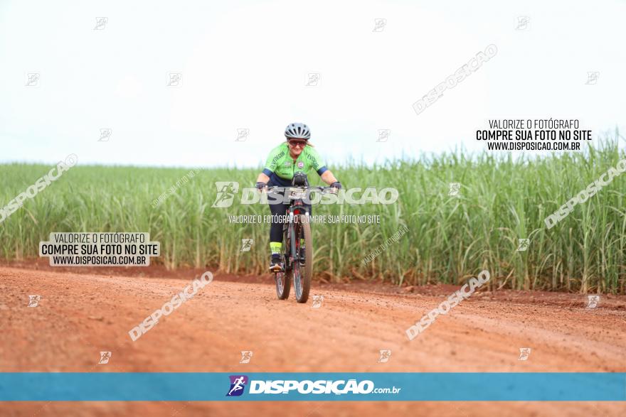 1ª EDIÇÃO DESAFIO ABELHA GRANDE - XCM