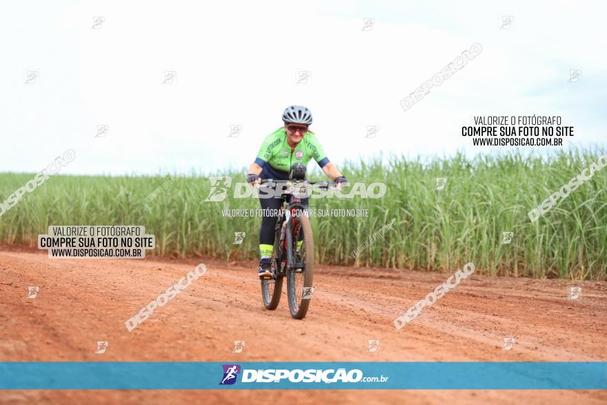 1ª EDIÇÃO DESAFIO ABELHA GRANDE - XCM