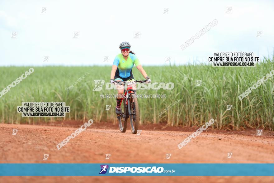 1ª EDIÇÃO DESAFIO ABELHA GRANDE - XCM