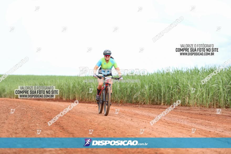 1ª EDIÇÃO DESAFIO ABELHA GRANDE - XCM