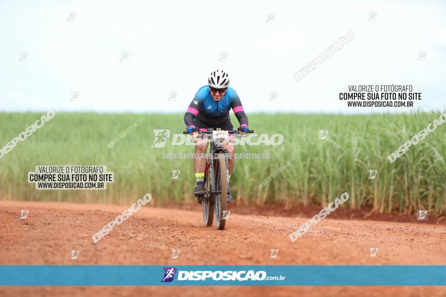 1ª EDIÇÃO DESAFIO ABELHA GRANDE - XCM