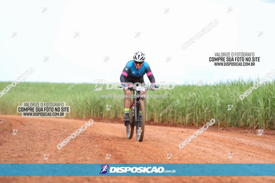 1ª EDIÇÃO DESAFIO ABELHA GRANDE - XCM