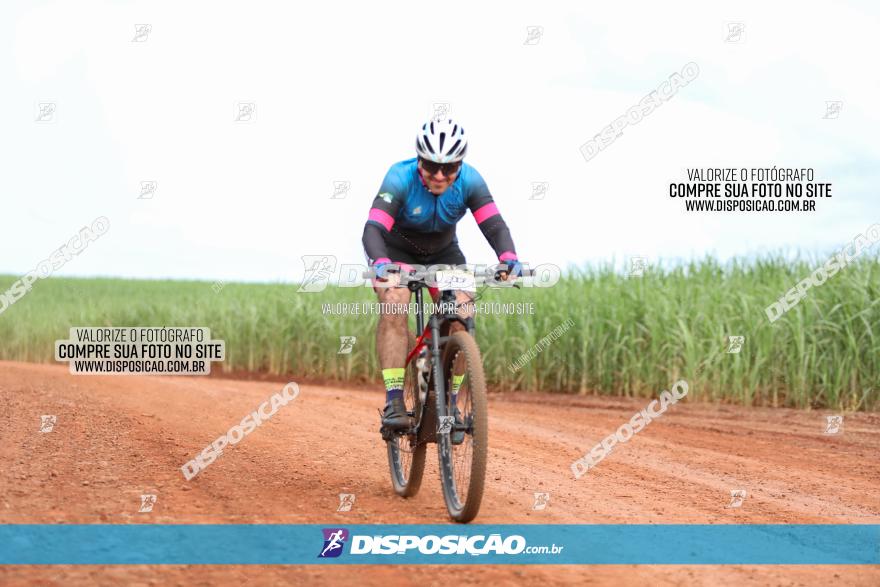 1ª EDIÇÃO DESAFIO ABELHA GRANDE - XCM