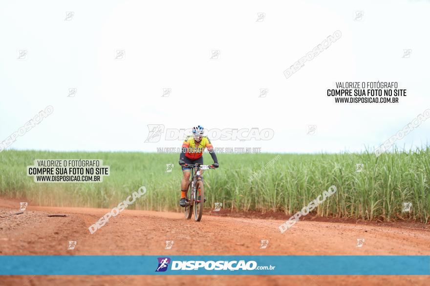 1ª EDIÇÃO DESAFIO ABELHA GRANDE - XCM