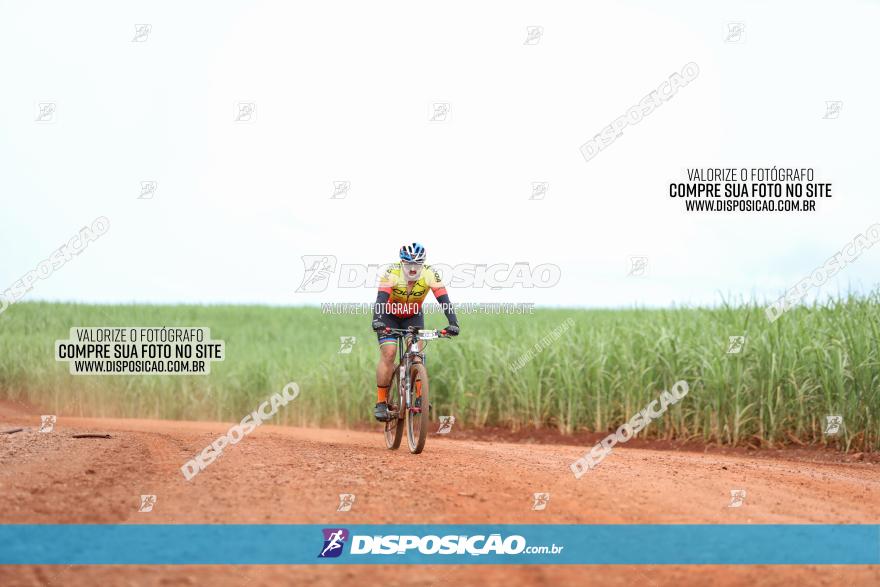 1ª EDIÇÃO DESAFIO ABELHA GRANDE - XCM