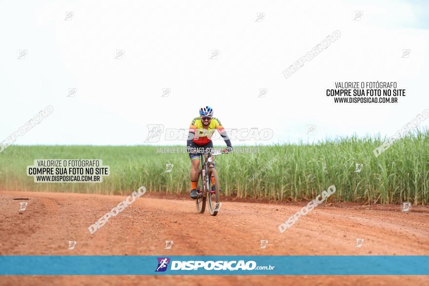 1ª EDIÇÃO DESAFIO ABELHA GRANDE - XCM