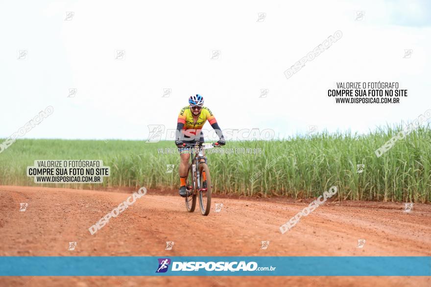 1ª EDIÇÃO DESAFIO ABELHA GRANDE - XCM