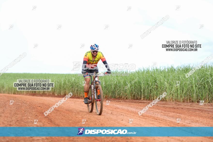 1ª EDIÇÃO DESAFIO ABELHA GRANDE - XCM