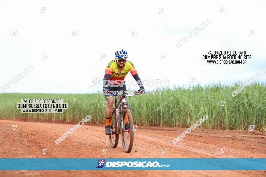 1ª EDIÇÃO DESAFIO ABELHA GRANDE - XCM