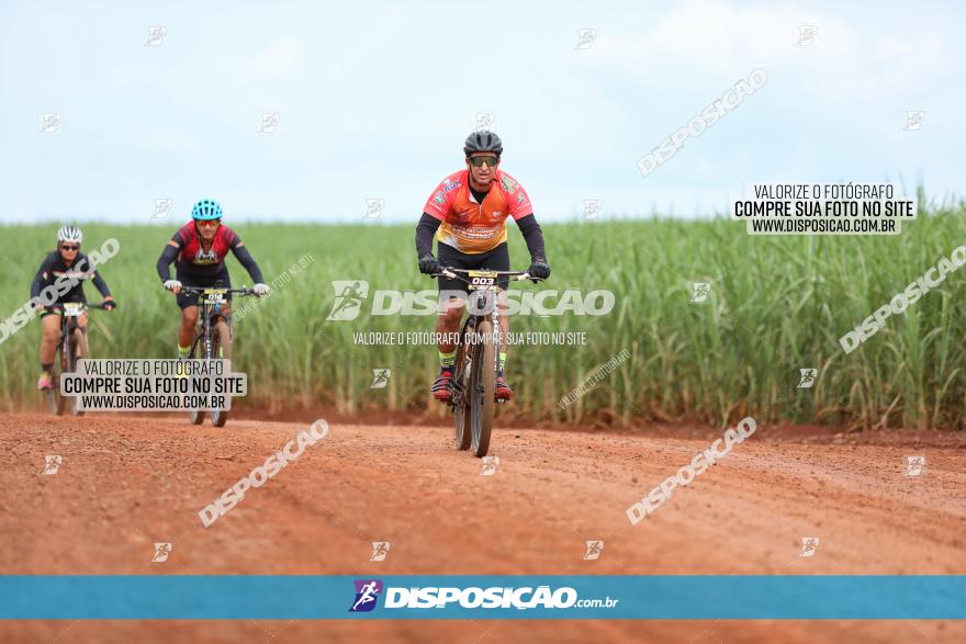 1ª EDIÇÃO DESAFIO ABELHA GRANDE - XCM