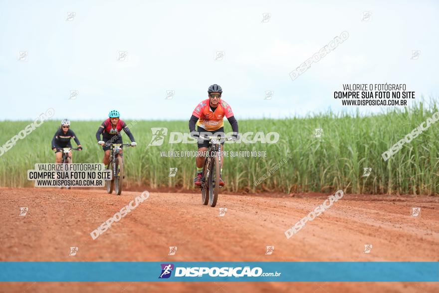 1ª EDIÇÃO DESAFIO ABELHA GRANDE - XCM