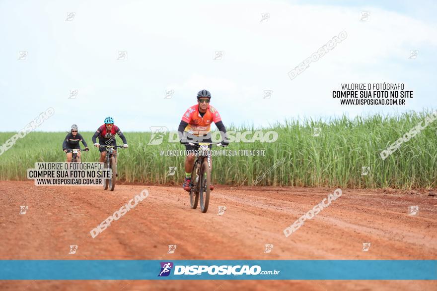 1ª EDIÇÃO DESAFIO ABELHA GRANDE - XCM