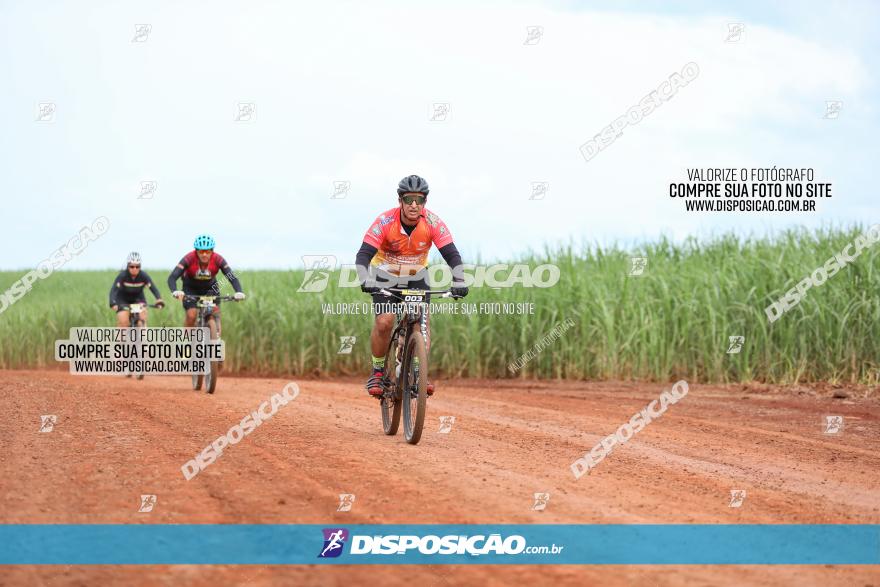 1ª EDIÇÃO DESAFIO ABELHA GRANDE - XCM