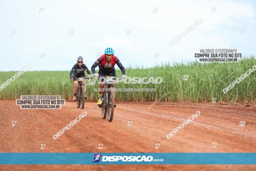 1ª EDIÇÃO DESAFIO ABELHA GRANDE - XCM